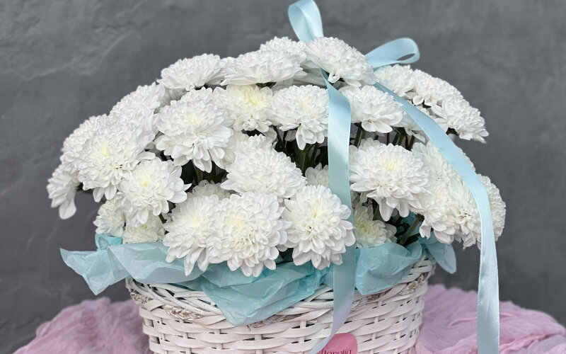 Кудряшка Сью