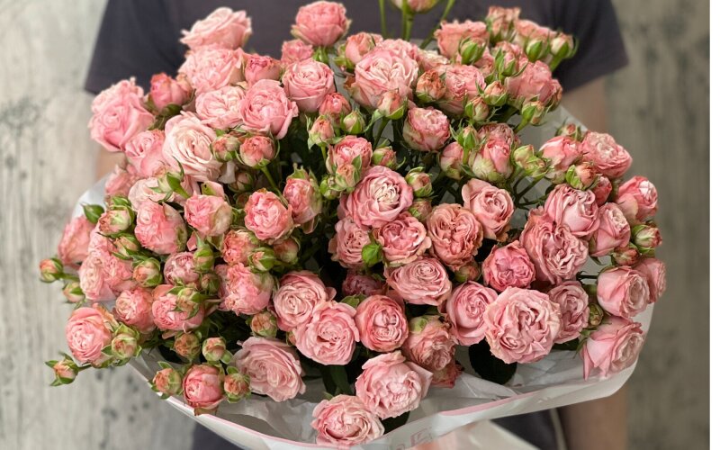 Розовые грёзы