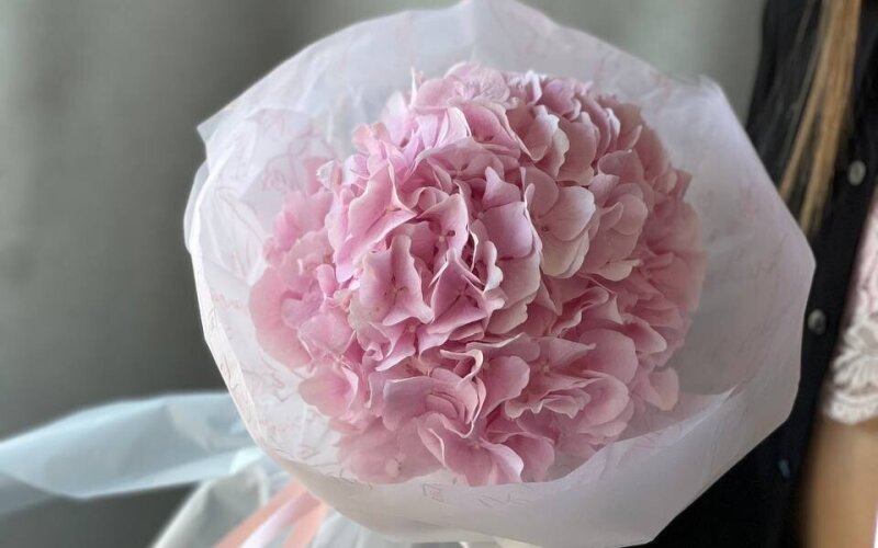 Тихое счастье