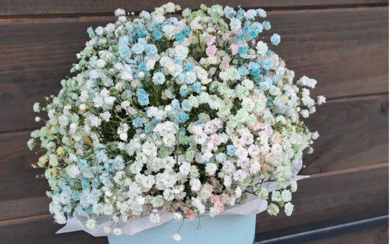 Композиция №5