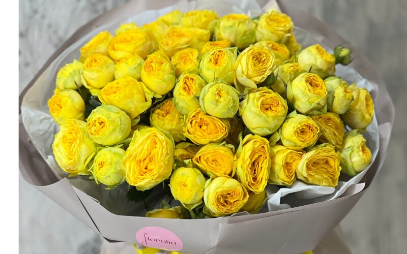 Золотое сечение