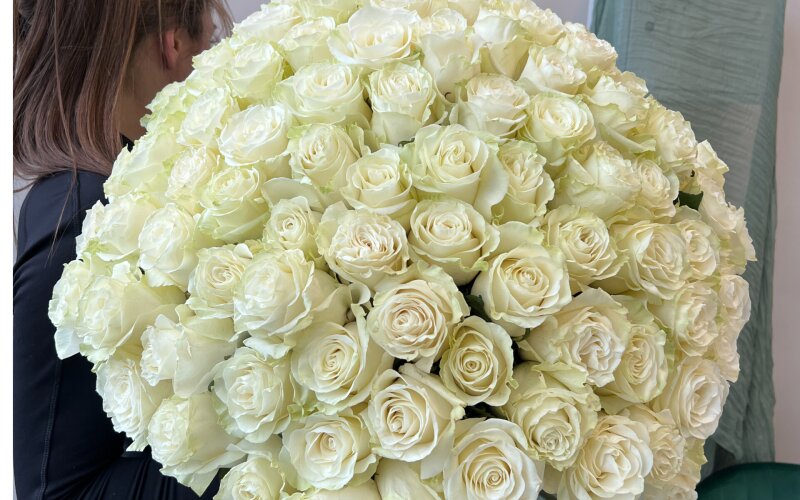 101 причина Любви