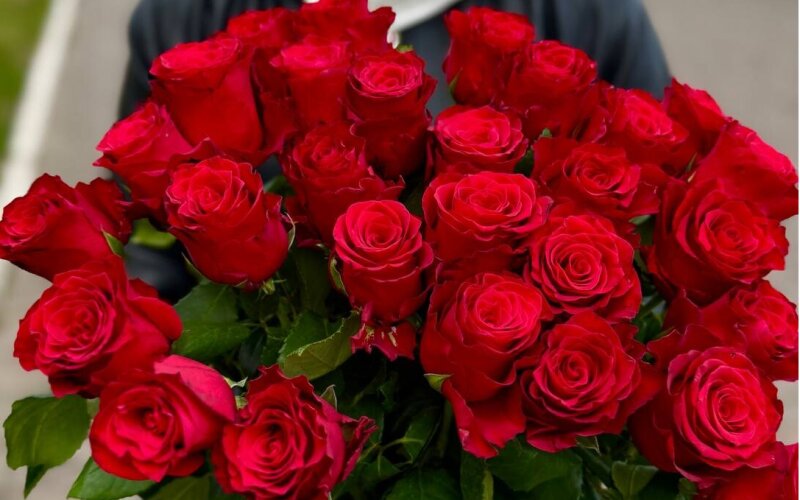Букет из 35 красных роз «Родос» Кения