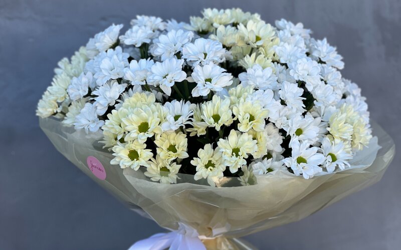 Магия момента