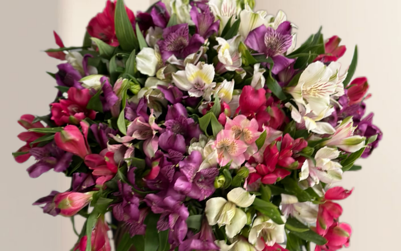 Яркие краски