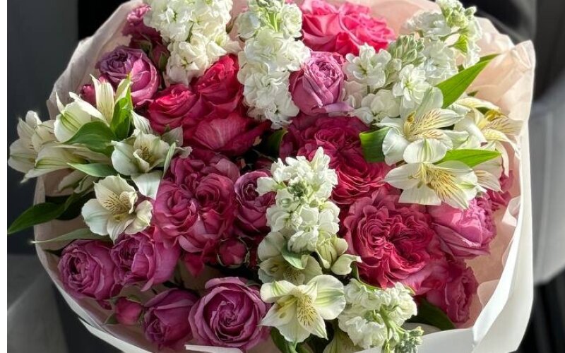 Утро в Париже