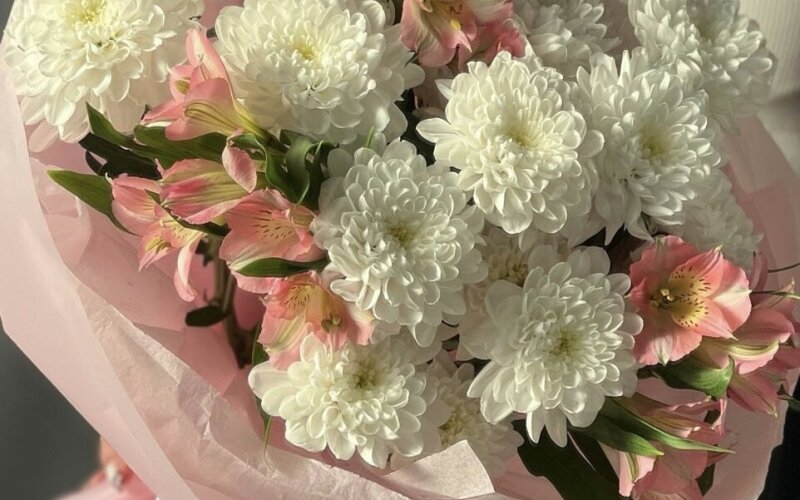 Нежное утро