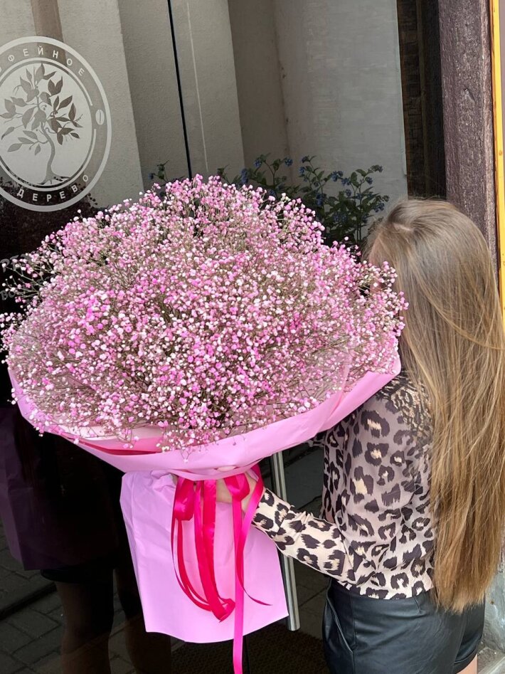 Розовая дымка