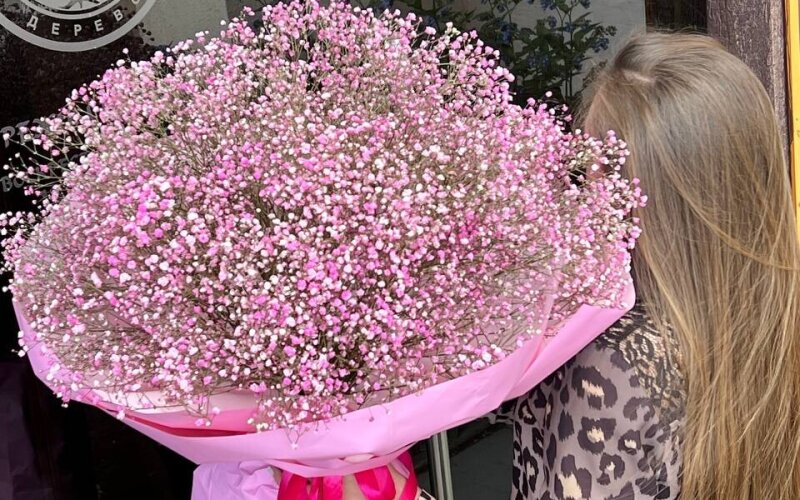 Розовая дымка