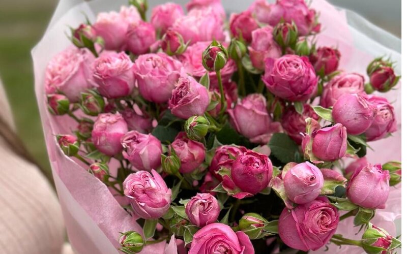 Мисти баблс