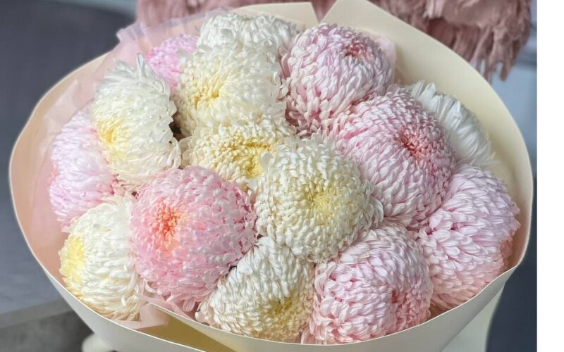 Зефирное счастье