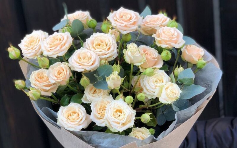 5 кустовых и эвкалипт