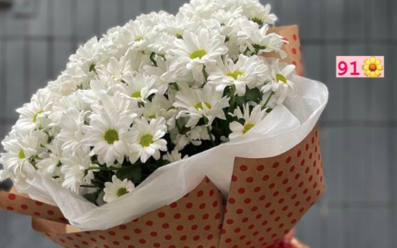 Букет из ромашковидных хризантем №2