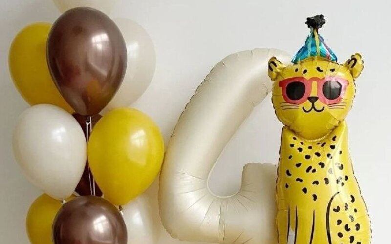 Сет «Весёлый гепард»