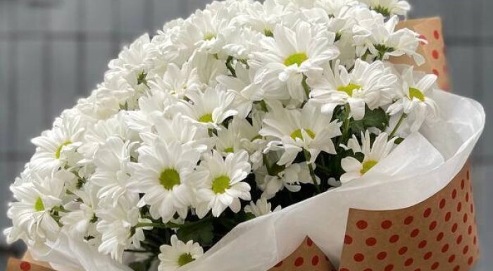 Цветы «Flower quest»