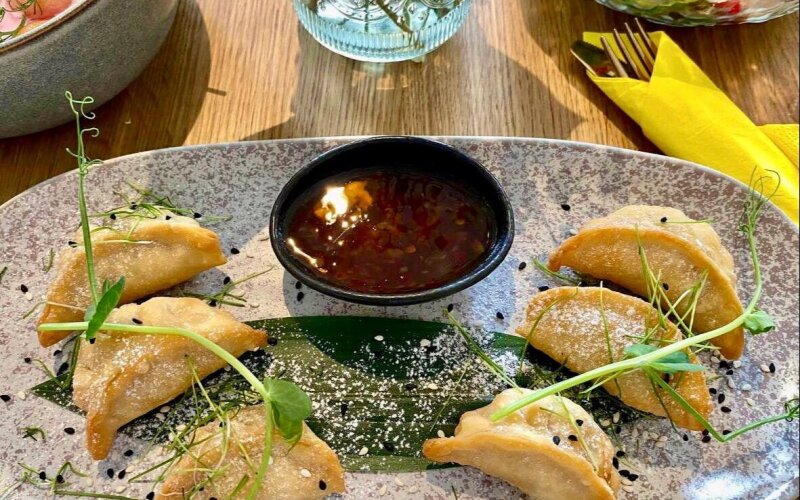 Гёдза с индейкой и тайским соусом