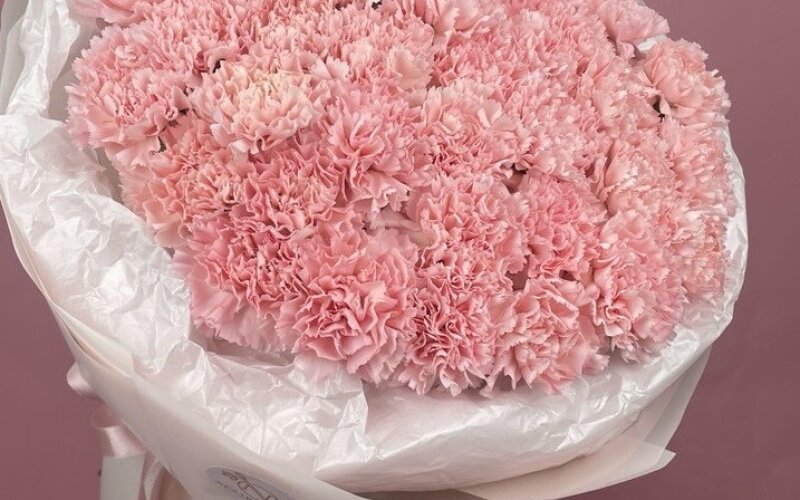 51 гвоздика в упаковке