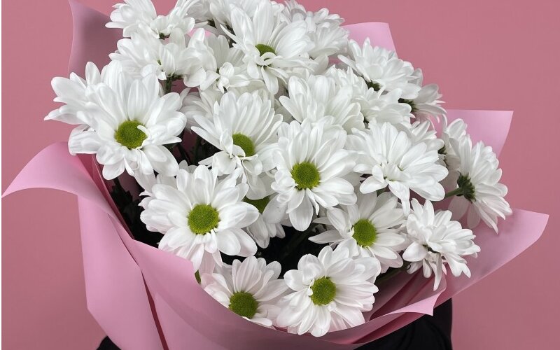 Букет «Нежные ромашки» 7 веток