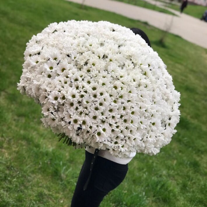 Букет из 101 ветки хризантем