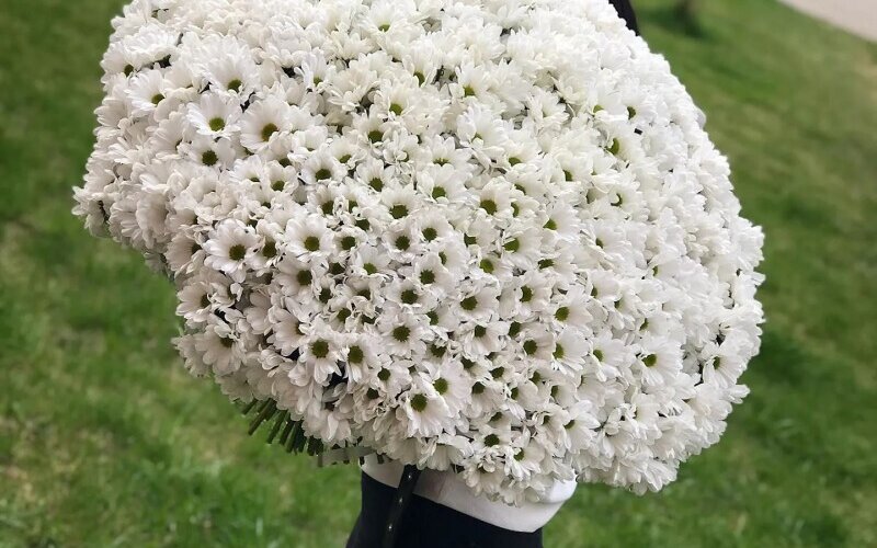 Букет из 101 ветки хризантем