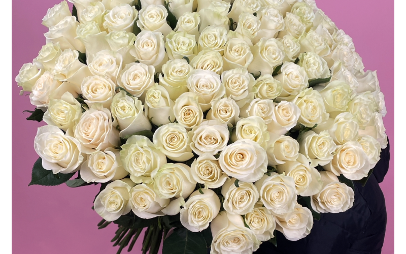 101 премиальная роза «Мондиаль»