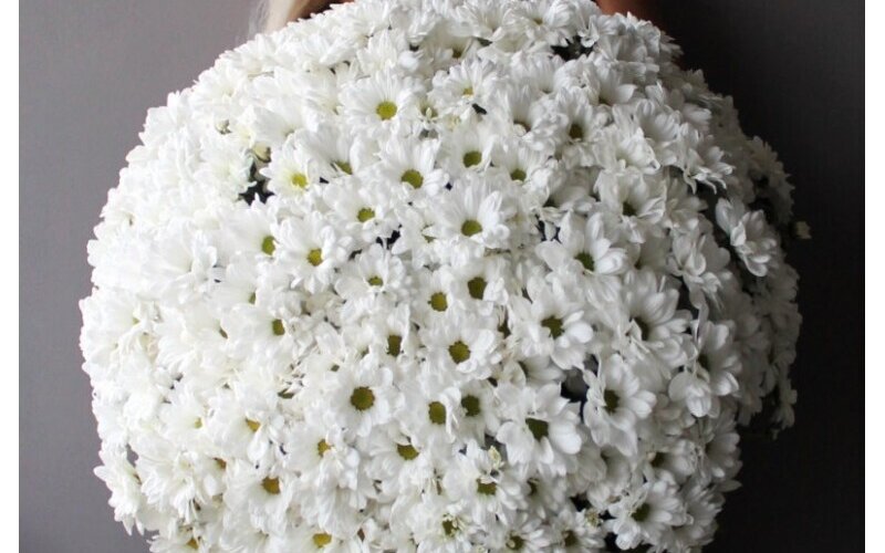 Букет из 51 ветки хризантем