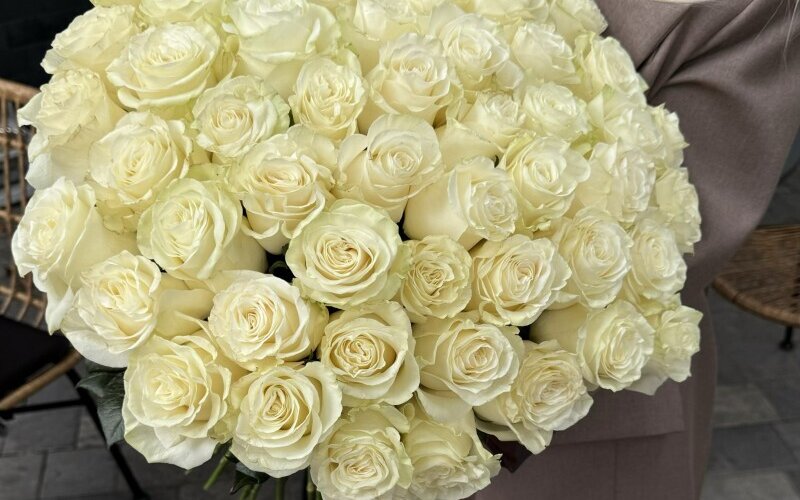 51 премиальная роза «Мондиаль»