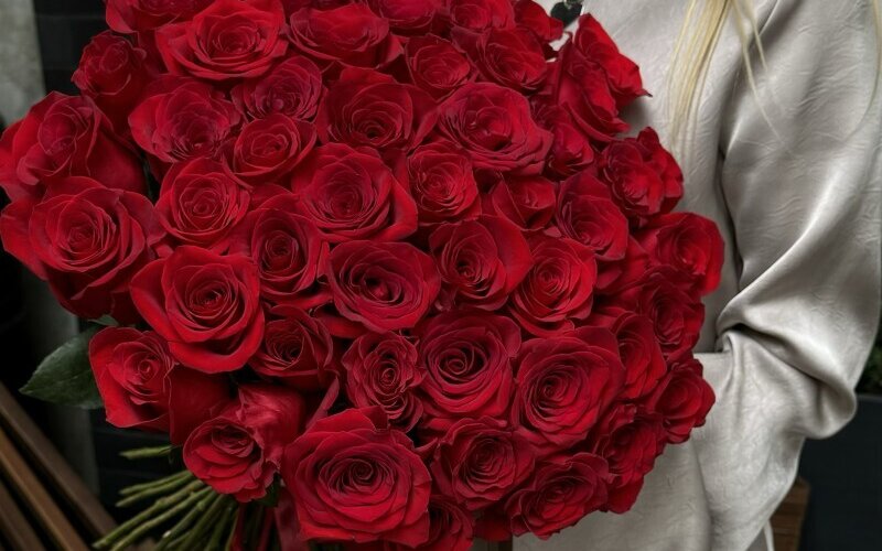 51 премиальная роза «Фридом»