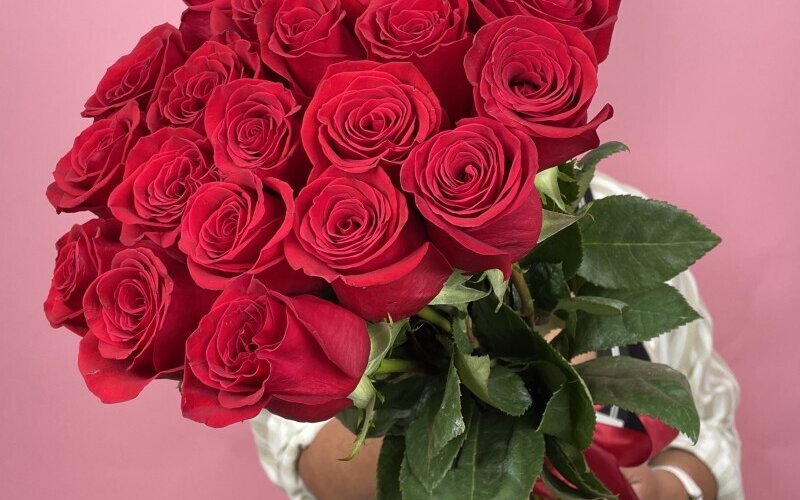 21 премиальная роза «Фридом»