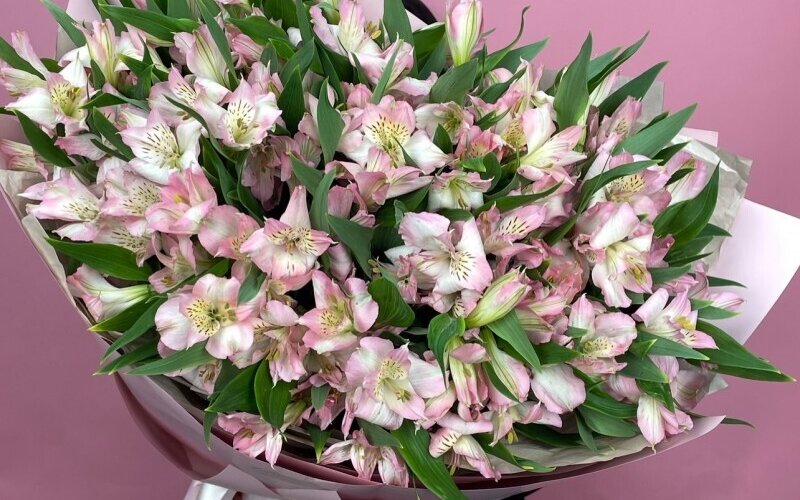 Букет «25 альстромерий»