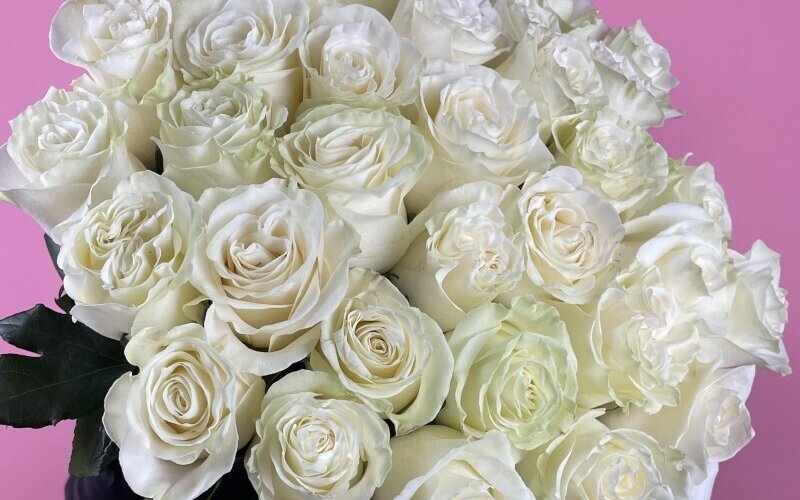 35 премиальных роз «Мондиаль»