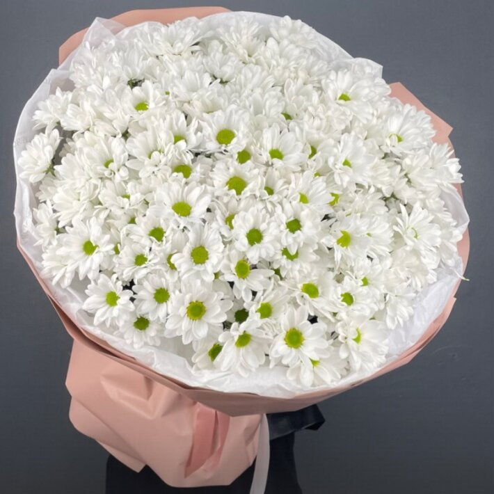 Букет «Точно любит» из 25 хризантем