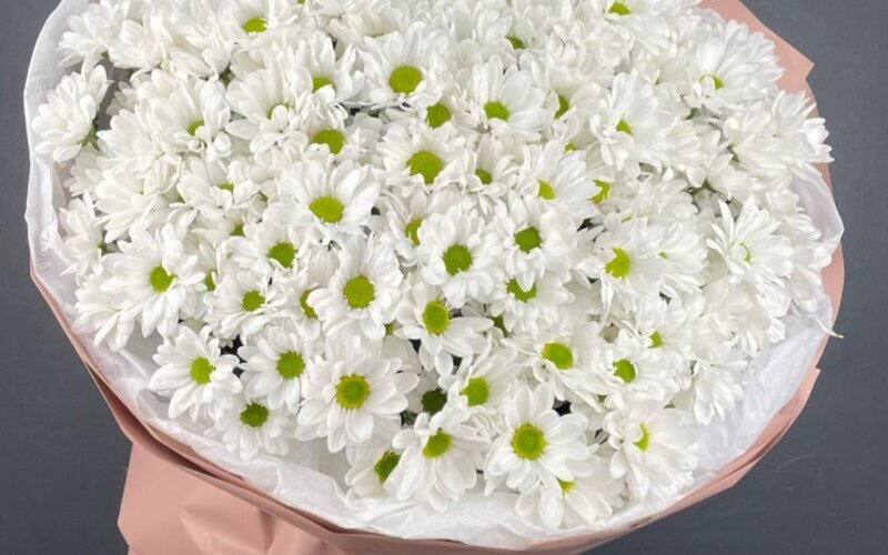 Букет «Точно любит» из 25 хризантем