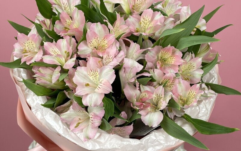 Букет «11 альстромерий»