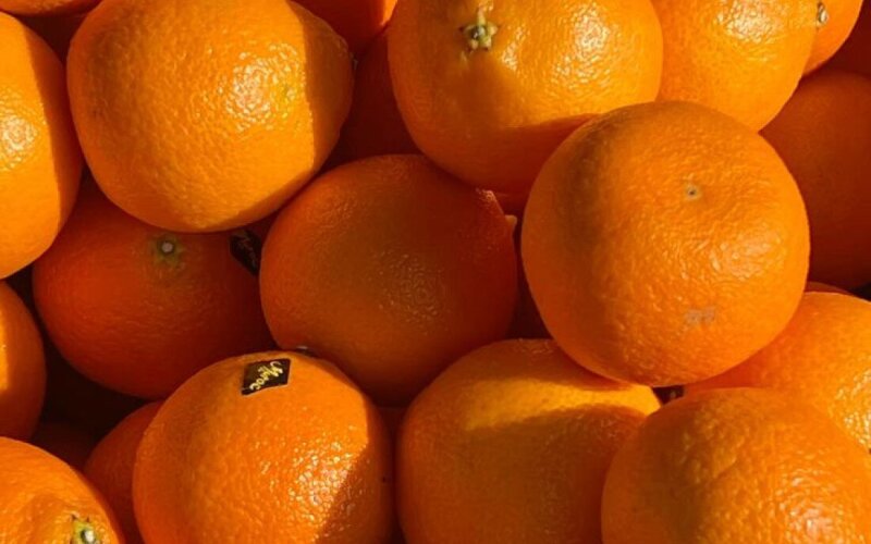 Апельсин Испания