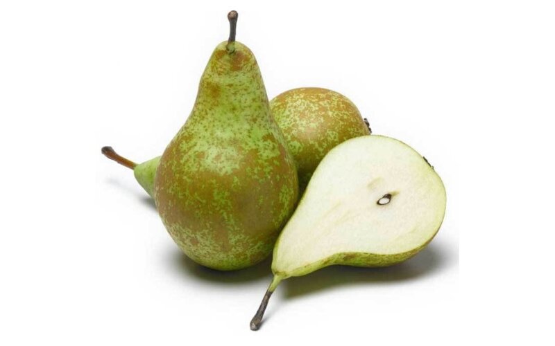 Груша конференция