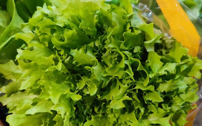 Салат хрустящий