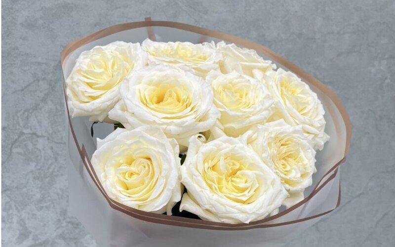 Букет из 9 белых пионовидных роз