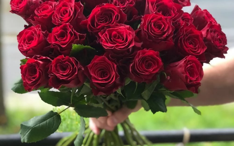Букет «Родос» #134 из 25 красных роз сорта «Родос»