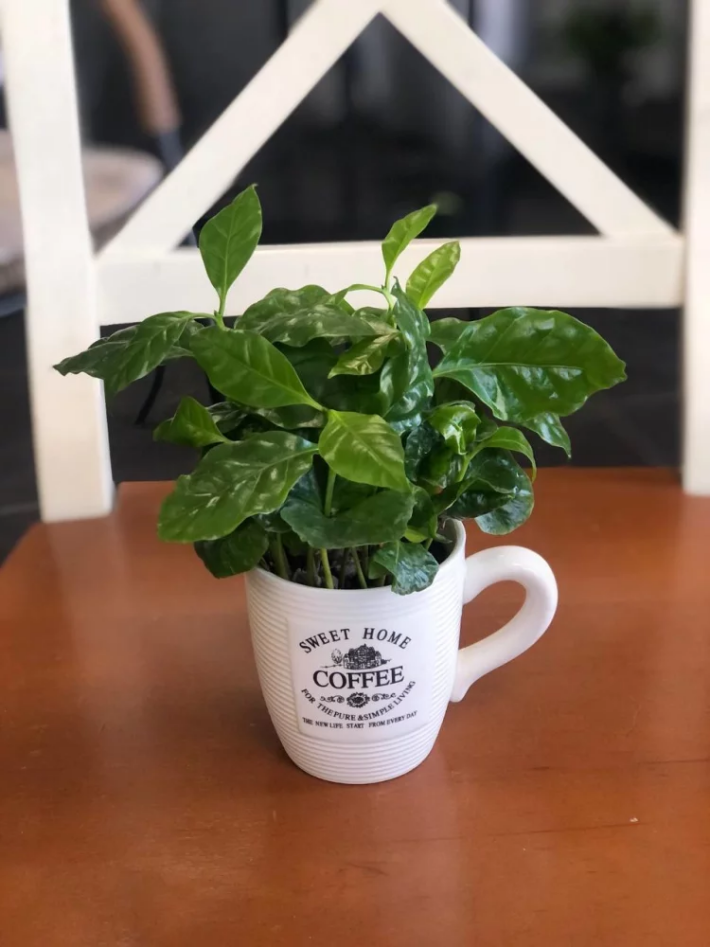 Кофе в кружке