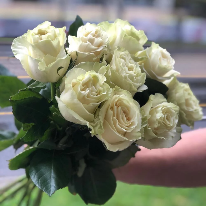 Букет «Мондиаль» #126 из 9 роз сорта «Мондиаль»