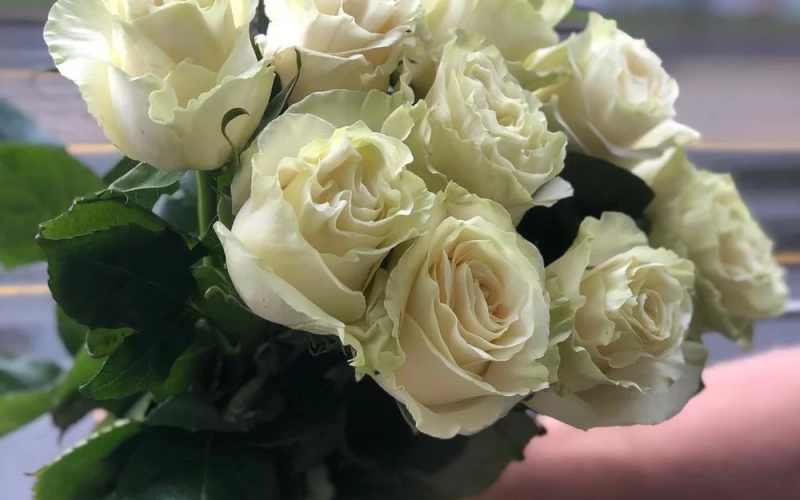 Букет «Мондиаль» #126 из 9 роз сорта «Мондиаль»