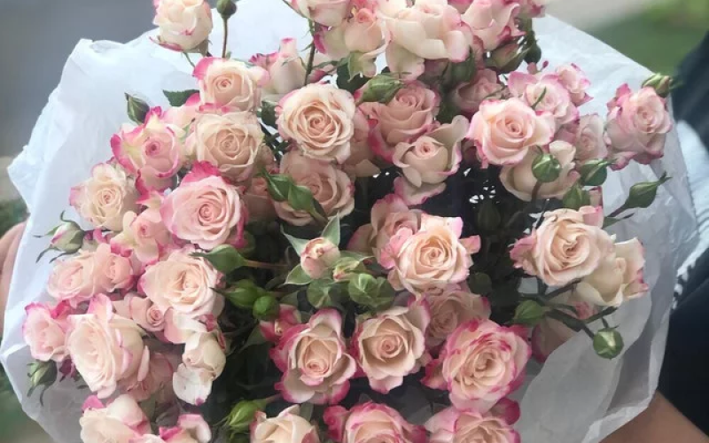 Букет «Шарм» #122 из кустовой розы сорта «Рефлекс»