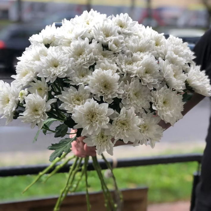 Букет Кружево #139 из 9 хризантем