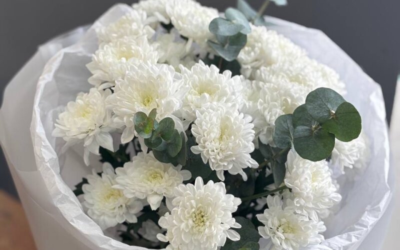 Моно букет из белоснежной хризантемы и эвкалипта
