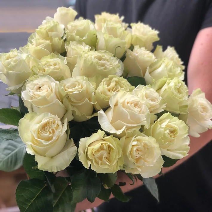 Букет «Мондиаль» #128 из 25 роз сорта «Мондиаль»