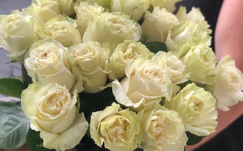 Букет «Мондиаль» #128 из 25 роз сорта «Мондиаль»