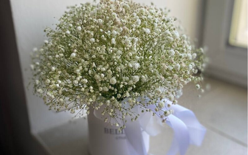 Композиция в шляпной коробке из гипсофилы