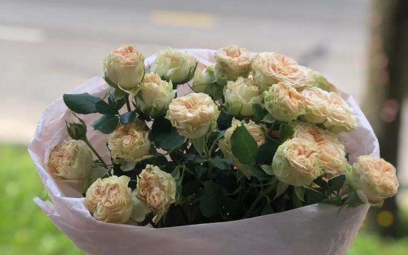 Букет из 5 кустовых роз «Саммер»