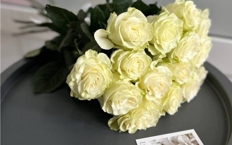 15 белых роз «Мондиаль» с лентой